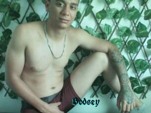Bodsey