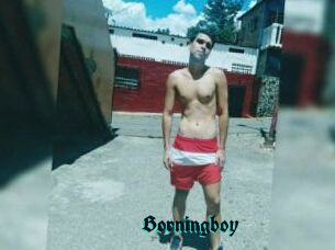 Borningboy