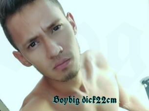 Boybig_dick22cm