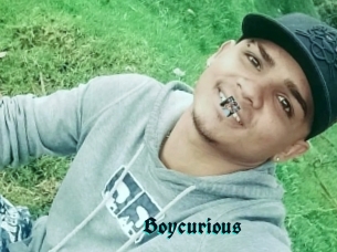 Boycurious