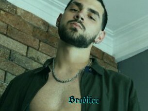 Bradiice
