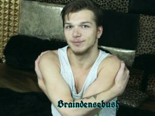 Braindensebush