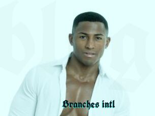 Branches_intl