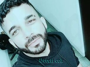 Brrett_colt