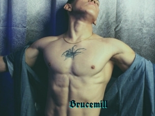 Brucemill