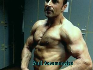 Bull_dosemuscles
