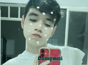 Bunnymaxi