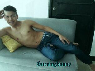 Burningbunny