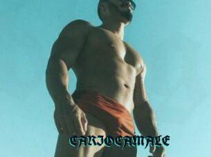 CARIOCAMALE