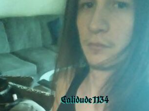 Calidude1134