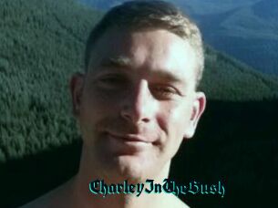 CharleyInTheBush