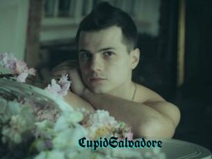 CupidSalvadore