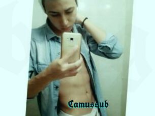 Camussub