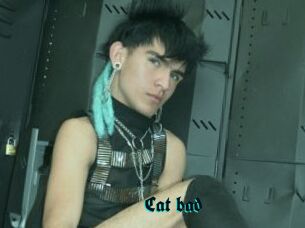 Cat_bad
