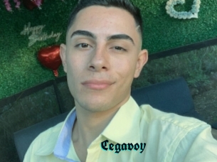 Cegavoy