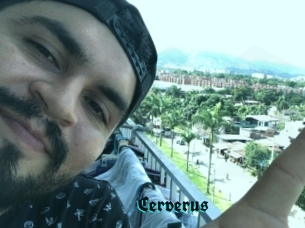 Cerverus