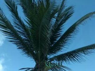 Chacul