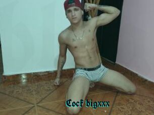 Cock_bigxxx