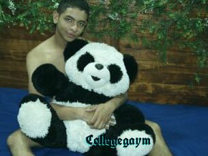 Collegegaym