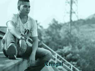 Crisgut
