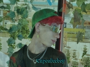 Cupcakeeboy