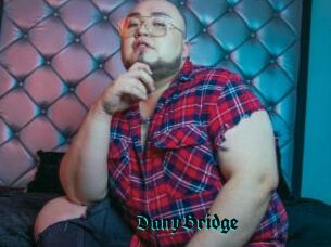 DanyBridge