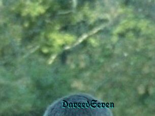 DaveedSeven