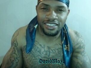 David_Maze