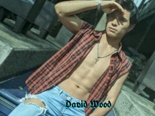 David_Wood