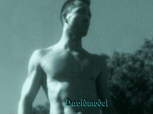 Davidmodel
