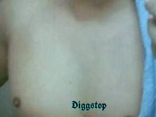 Diggstop