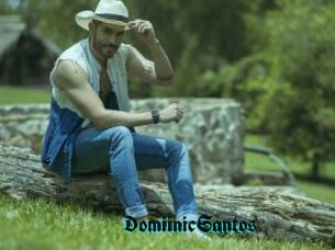 DomiinicSantos