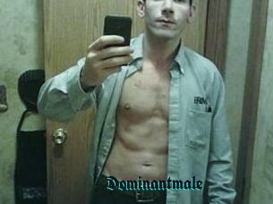 Dominantmale