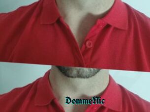 DommeNic