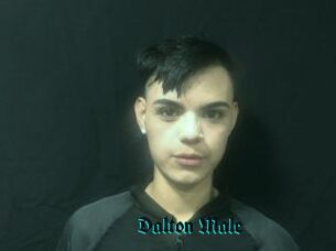 Dalton_Male