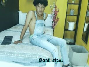 Danii_steel