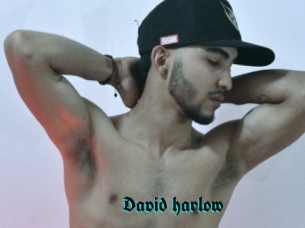 David_harlow
