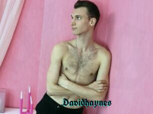 Davidhaynes