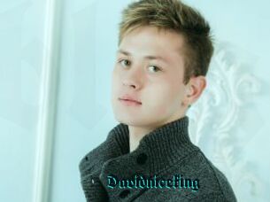 Davidniceking