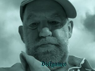 Dickgames