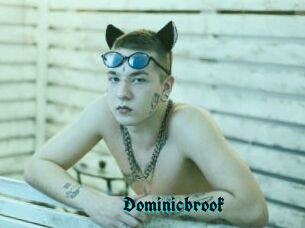 Dominicbrook