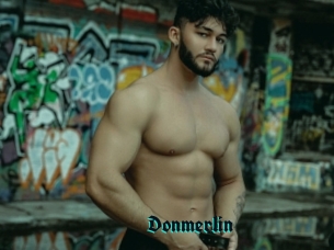 Donmerlin