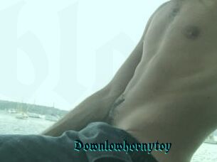 Downlowhornytoy