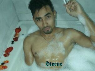 Dtorus