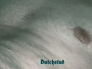 Dutchstud