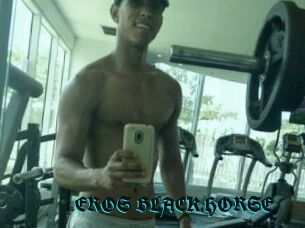 EROS_BLACK_HORSE