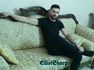 ElliotSharp