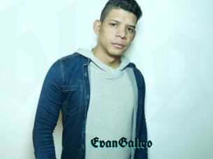 EvanGalleo