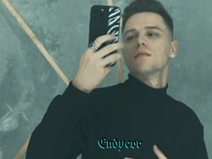 Endycor