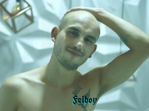 Felboy